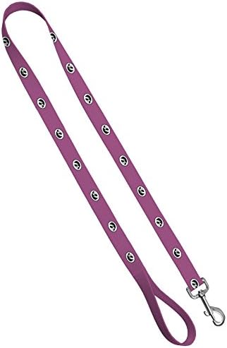 Moose Pet Wear Dog Leash - Universidade de Iowa Hawkeyes Pet Leash, feita nos EUA - 1 polegada de largura x 6 pés de comprimento, fibra de carbono rosa