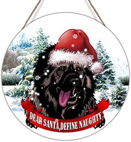 Caro Papai Noel Definir cachorro travesso de madeira com chapéu de Papai Noel em neve, parede de madeira, sinal de natal da