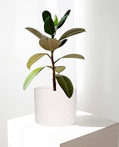 Potão de planta de cerâmica ladovita com suporte, plantador de 10 polegadas com prateleira de madeira, vasos de flores redondos modernos com suporte de plantador de madeira, padrão de ondulação de água branca