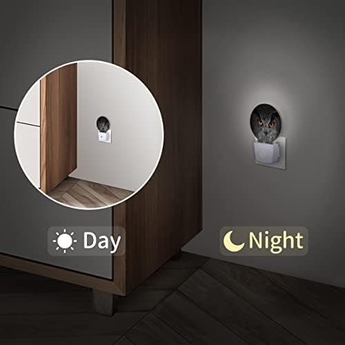 Dxtkwl Evil Eyes Owl Round Night Lights 2 pacote, Owl Bird Animal Plug-in Led Nightlights Dusk Auto para o Dawn Sensor Lamp