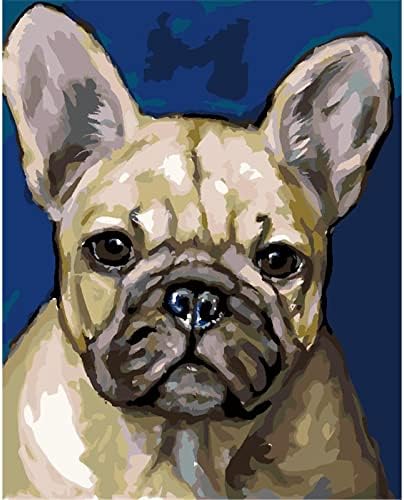 Yscolor Paint by Numbers for Adults French Bulldog Diy acrílico kits de pintura a óleo para iniciantes 16x20 polegadas