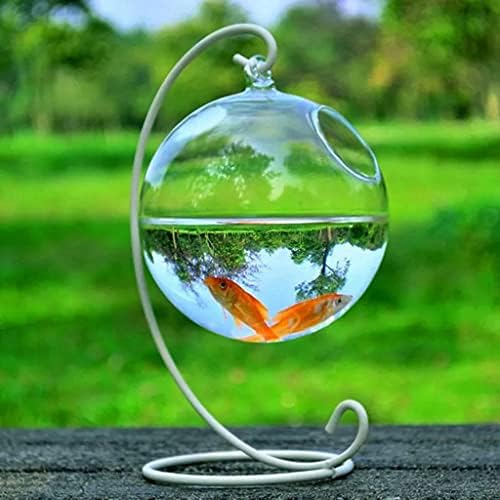 Zlbyb 1 conjunto de forma redonda pendurada aquário aquário de peixe tanque de peixe vaso de planta de flor de planta transparente