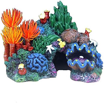 Decorações de tanques de peixe Moneyn, decorações de aquário, paisagismo de concha de coral de coral adequado para negócios