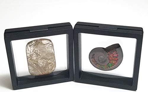 Black transparente 3D Flora flutuante Display/caixa/quadros para moedas de desafio, medalhões de AA, antiguidade, jóias, presente,