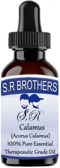 S.R Brothers Calamus puro e natural terapêutico Óleo essencial com gotas de gotas 30 ml