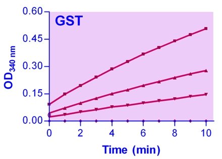 Kit de ensaio de transferase de glutationa S-transferase