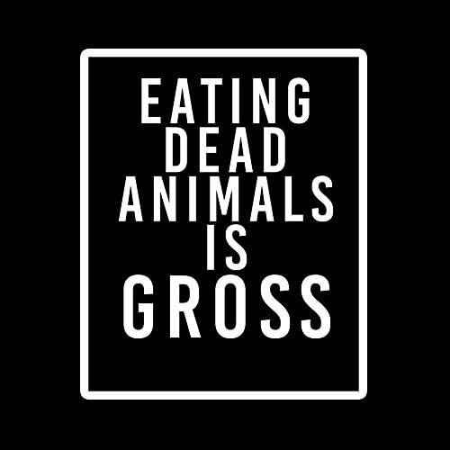 Comer animais mortos é um adesivo vegano vegetariano grosseiro decalque de carro