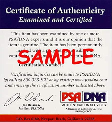 Don Mattingly PSA DNA CoA Autograph American League Oal assinado Baseball 1