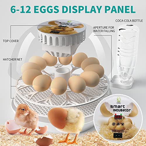 Incubadora de ovos de lreerge, 12 ovos incubador com giro automático de ovos, adição de água automática, vista de 360 ​​graus, para chocar o pato de codorna de ganso de frango