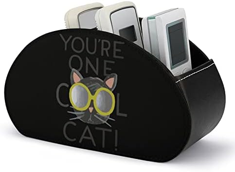Caixa de armazenamento de controle remoto de óculos de sol Cool Cat