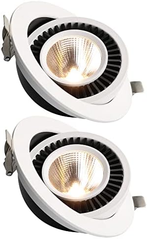 LED LED CCTUNG LEVATO RESPONDIDADO, Spotlight Cob White Aluminium Lamp Led Led Light Robing Light 3W, 5W, 7W, 12W Baffle TRIM LED LAN LAPLES LUZES