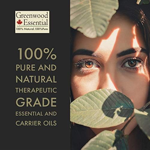 Greenwood Essential Pure Cornmint Essential Oil com gotas de vidro Premium grau terapêutico para cabelos, pele e aromaterapia