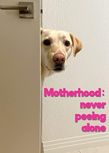 Glória para a maternidade para cães: nunca faz xixi sozinho no dia das mães feliz com um golden retriever com um envelope de correspondência