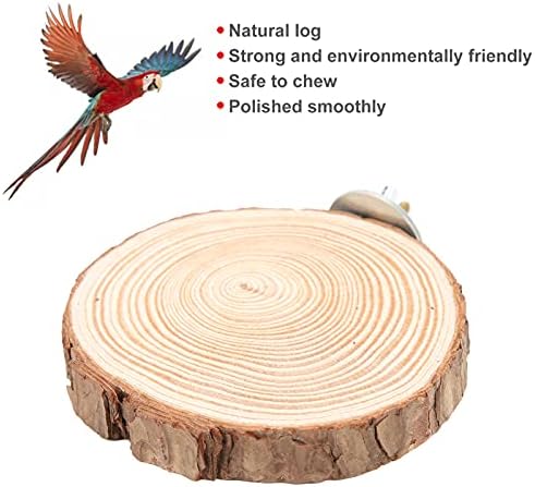 Round Natural Wood Stand para pássaro, poleiro redondo natural forte durável para pássaros práticos pássaros seguros plata