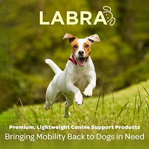 Labra Dog Canine K9 Ice Heat Cold Hot Pack Therapy Terapia Página de compressão - alívio da dor Artrite Brace para articulações