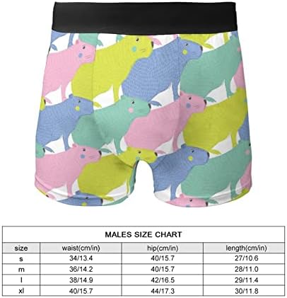 Colorido Capybara Men's Underwear