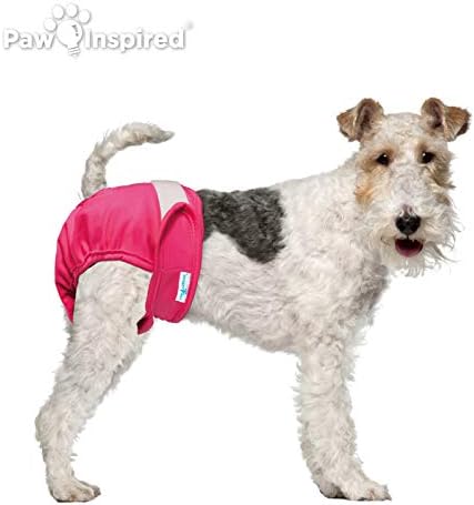 Fraldas de cães laváveis ​​inspiradas em Paw | Fraldas de cachorro reutilizáveis ​​| Fraldas de cachorro feminino | Fraldas de cães absorventes | Fralda de cachorro | 3 pc | Múltiplas cores | Variado | Médio