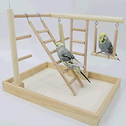 Transportador de pássaro Papagaio