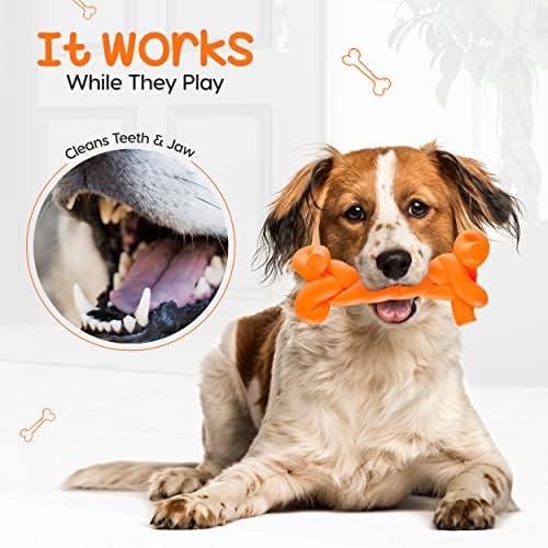 CHEW CHEW Toy Toy Durável ecofriário em forma de osso cuidados dentários dentes de limpeza de cachorro resistente a brinquedos