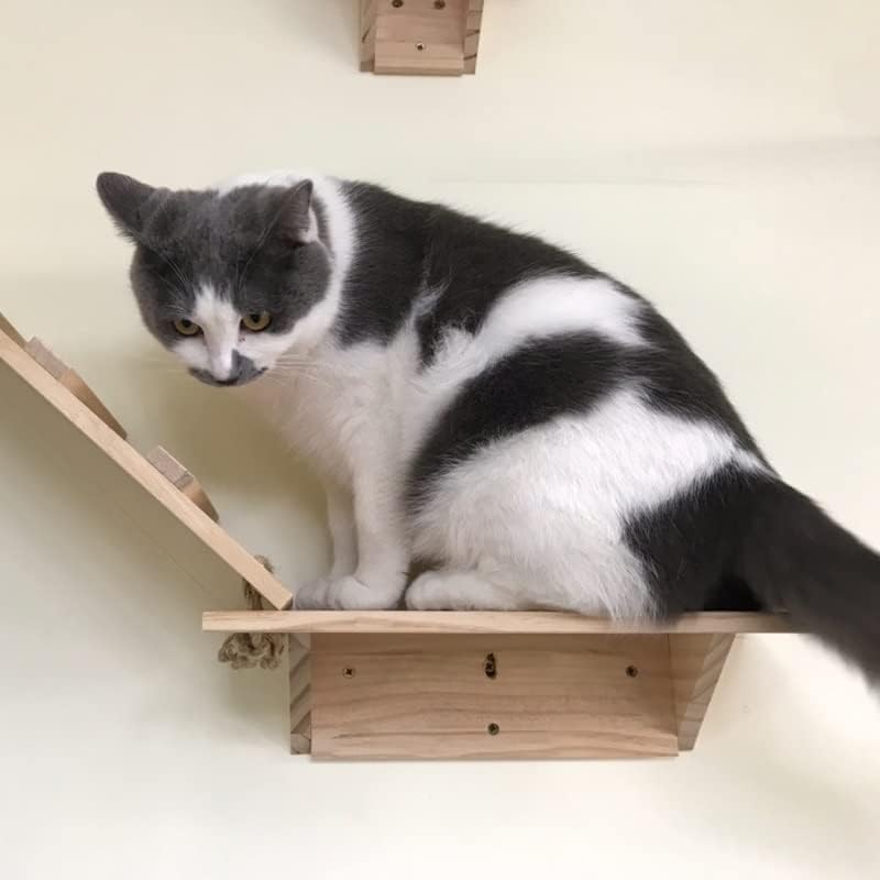 Zlxdp Cat Tree Cat Frame Stratch Placa de gato de madeira Plataforma de jumping Diy Pet Furniture Kitten Springboard Montado de
