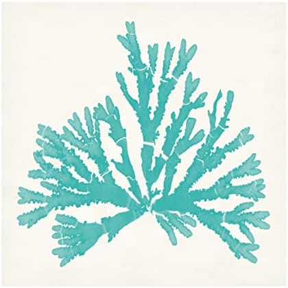 Marca registrada Bine Art 'Pacific Sea Mosses IV Aqua' Arte da tela por portfólio de maçã selvagem 14x14