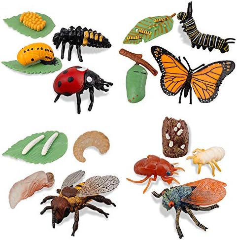 ToyMany 16pcs Fatuagens de insetos Ciclo de vida de borboleta monarca, abelha, cigarra, joaninha, lagartas plásticas para borboletas