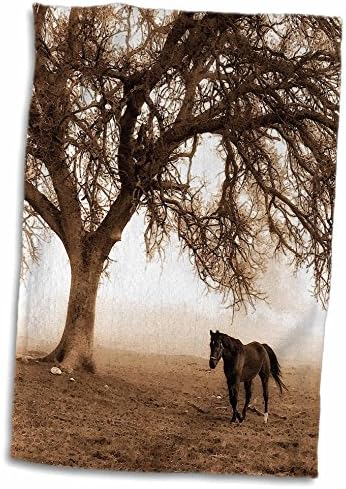 3d Rose Western Sepia Tonomed Horse em um rancho com uma toalha de carvalho TWL_202972_1, 15 x 22, multicolor