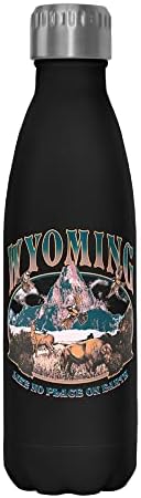 Quinto Sun Wyoming Turista de 17 oz garrafa de água em aço inoxidável, 17 onças, multicolorida
