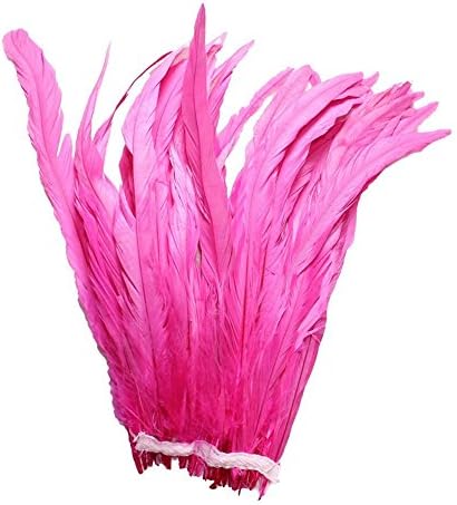 25pcs 10-12 Bleach tinge Galo Coque Feathers, 16 ou mais cores para pegar