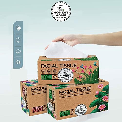 The Honest Home Company 2 Ply Soft Facial Tissues Box | 200 puxões - pacote de 3 | Pull fácil da caixa dura | 600 puxões, branco