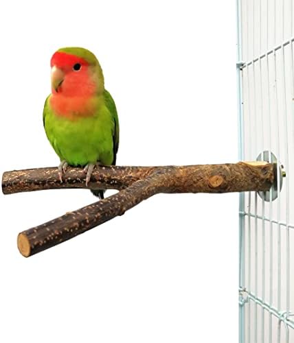 6 Pacote de pássaro poleiro, 3 tipos tipos de pássaros Conjunto de pássaros Acessórios para gaiola de pássaro Naturais de brinquedos de madeira de madeira