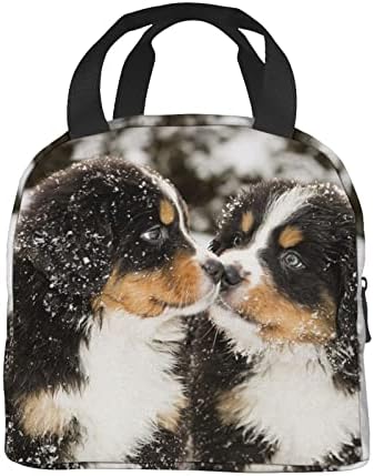 Wzialfpo Berna Bernese Mountain Dog Box Tote Lunchag Bolsa de refeição portátil isolada para adultos homens homens adolescentes