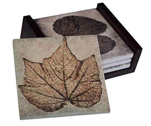 Imagens de plantas fósseis - Conjunto de montanha -russa de azulejos de 4 peças - Caddy incluído