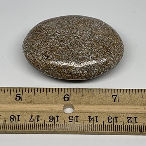 65.3g, 2,2 x1.7 x0.8 Dinosaur-BONE NATURAL não tratado Palmet Stone Gallet Shape polido @morocco, Reiki Energy Crystal, Metafísico,