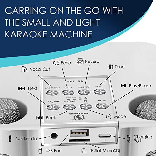 Flyasny Karaoke Machine com 2 microfones sem fio para adultos e crianças, o sistema de alto-falante portátil de karaokê Bluetooth, suporta TF, Aux-in, máquina de canto para TV, festa em casa, ao ar livre, meninos e meninas