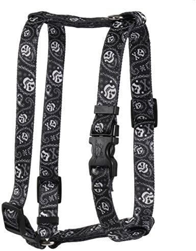 Projeto de cão amarelo Paisley Skulls Black Roman H Harness, grande/1 de largura e se encaixa no peito de 20 a 28