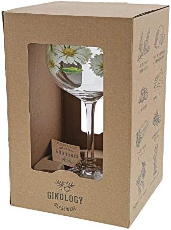 Enesco Ginology Daisy Copa Cocktail Glass, 24 onças, Clear