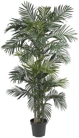 Quase natural 5289 6,5 pés. Golden Cane Palm Sedk Tree, verde