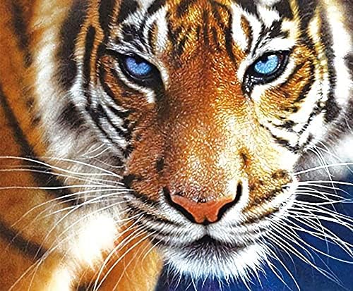 Jiyqinly Diy Diamond Pintura Tiger Trecha Full Tiger Paint With Diamonds Tiger Borderyer Kits Arts Para decoração de parede, 12 × 16 polegadas