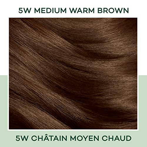 Clairol Instintos naturais Demi-corante de cabelo permanente, cor de cabelo castanho de 5w, pacote de 1