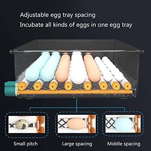 Incubadora de garotas em casa WGWIOO, incubadora de ninhadas, máquina de ninharia automática de incubador de ovos, Incubadora