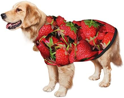 Bagas de capuz de cachorro grandes, com capuz de cachorro-fruit-summer, suéter de roupa com chapéu de gato macio casaco pequeno