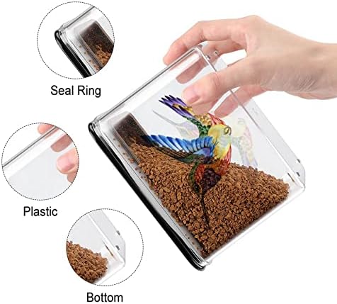 Contêineres de armazenamento de tatuagem de beija -flor, caixa de plástico transparente com tampas de lixeiras reutilizáveis ​​para lanches de cereais de cozinha.