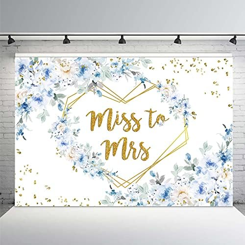 Mehofond Miss to Sra. Cenário de cenário noiva noiva noiva para ser decorações de festas azuis e brancos fotografia flora
