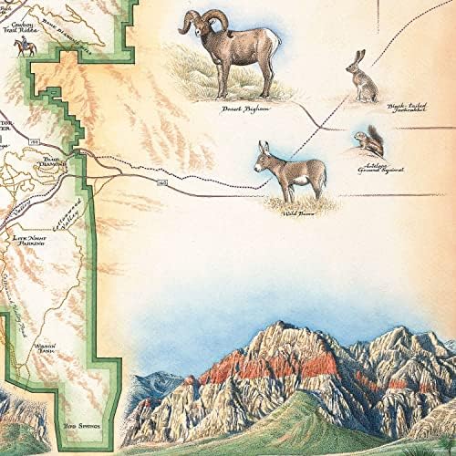 Xplorer mapeia o mapa nacional de conservação do Red Rock Canyon - vidro de cerâmica - belo mapa de mapa de mapa de mão