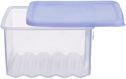 Tupperware Fridge Smart Small Box, 1 litro