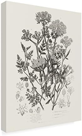 Marca registrada Belas artes 'plantas de floração iv neutra' Arte da tela por portfólio de maçã selvagem 14x19
