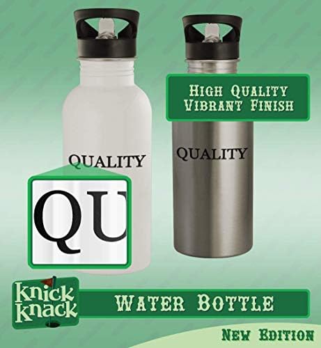Presentes de Knick Knack tem condenação? - 20 onças de aço inoxidável garrafa de água, prata