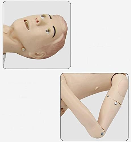 Tuozhe 5,7 pés de tamanho de vida demonstração humana manikin modelo paciente atendimento manikin para treinamento médico de enfermagem
