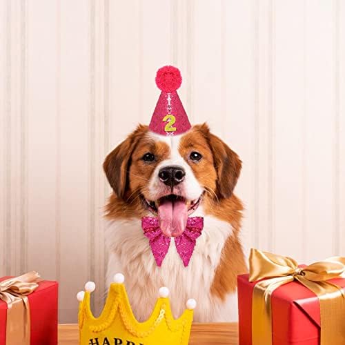 Cachorro gato de aniversário chapéu de estimação para festa de aniversário fofa casa de cone com gravata borbole